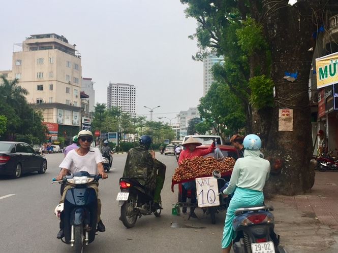 30.000 đồng 1 kg vải thiều ở Hà Nội