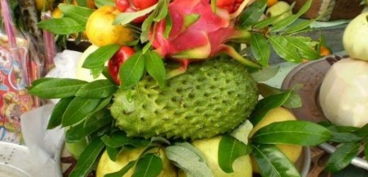 ý tưởng kinh doanh tết