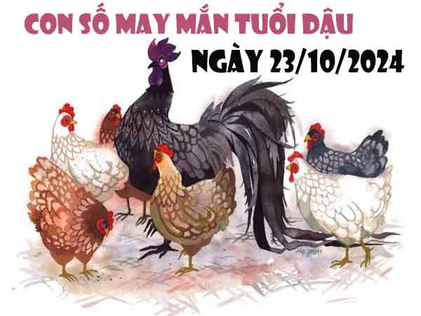 Con số may mắn tuổi Dậu ngày 23/10/2024 thứ 4 hôm nay