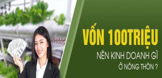 Gợi ý vốn 100tr nên kinh doanh gì ở nông thôn